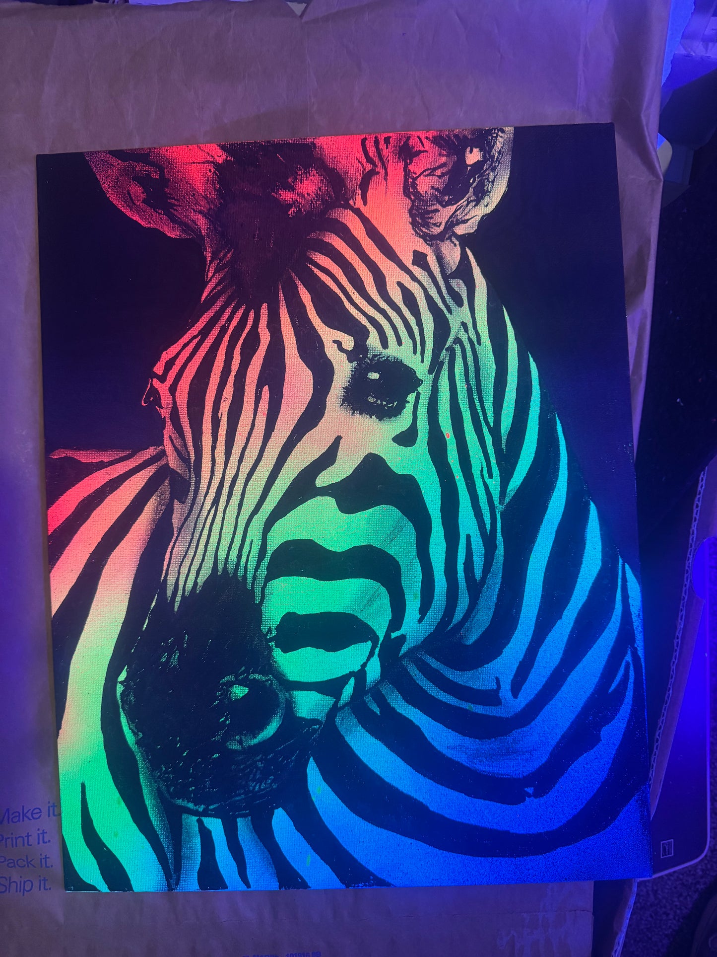 Zebra rainbow