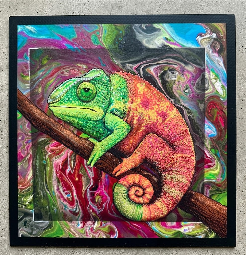 Chameleon mat