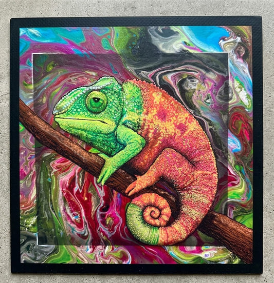 Chameleon mat