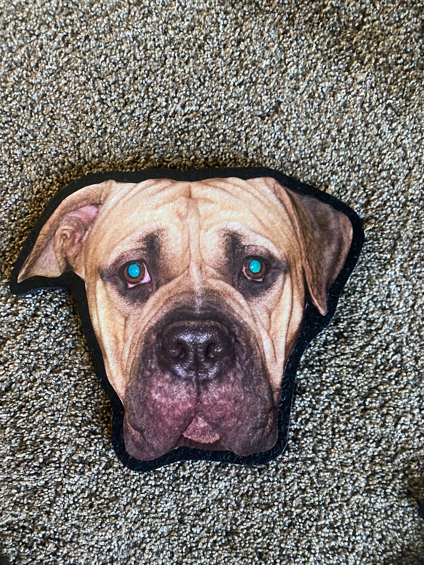 Custom Hand-cut Pet Mat