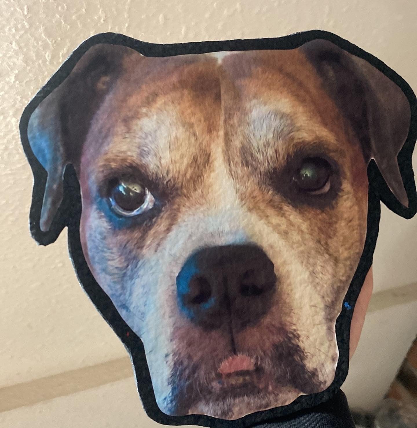 Custom Hand-cut Pet Mat