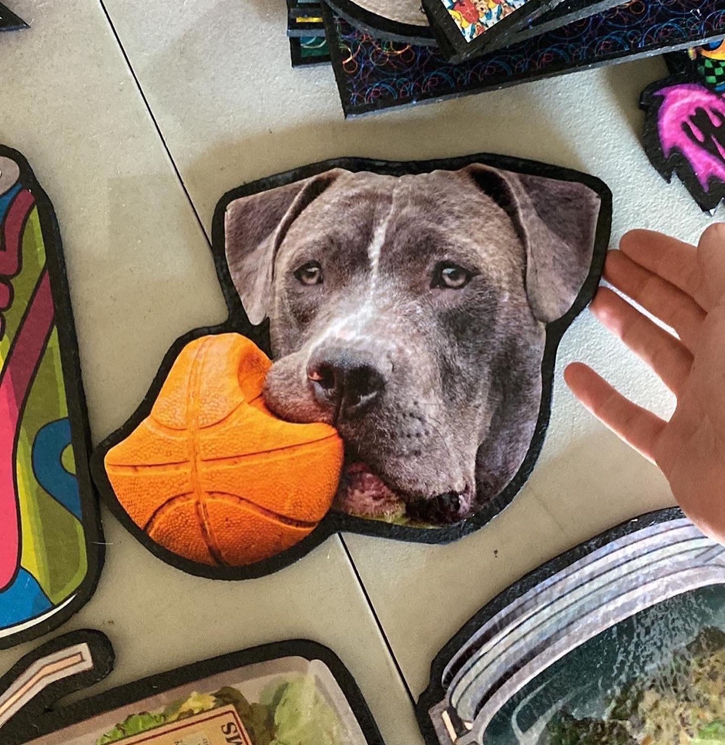 Custom Hand-cut Pet Mat